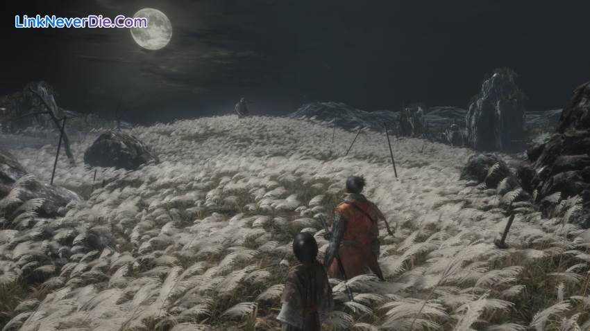 Hình ảnh trong game Sekiro: Shadows Die Twice (screenshot)