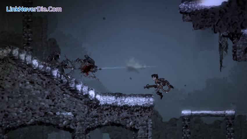 Hình ảnh trong game Salt and Sanctuary (screenshot)