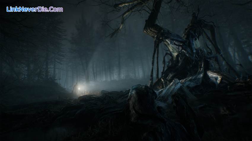 Hình ảnh trong game Blair Witch (screenshot)