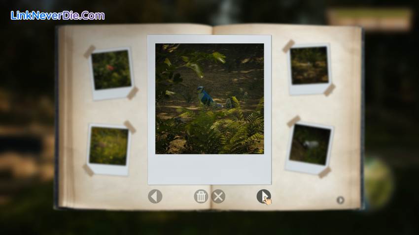 Hình ảnh trong game Morels: The Hunt (screenshot)