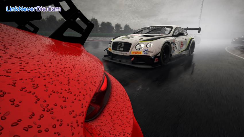 Hình ảnh trong game Assetto Corsa Competizione (screenshot)