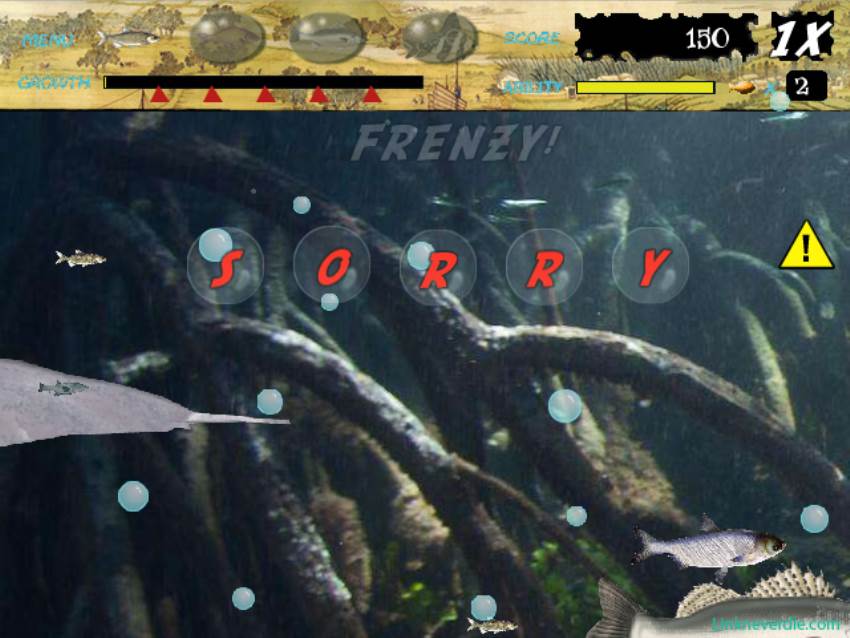 Hình ảnh trong game Feeding Frenzy - The water China (screenshot)