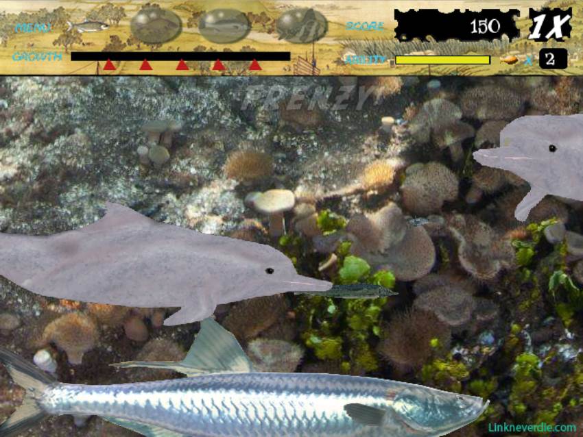 Hình ảnh trong game Feeding Frenzy - The water China (screenshot)