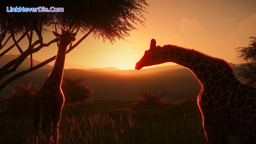 Hình ảnh trong game Planet Zoo (screenshot)