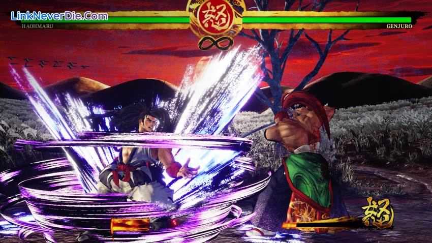 Hình ảnh trong game SAMURAI SHODOWN (screenshot)