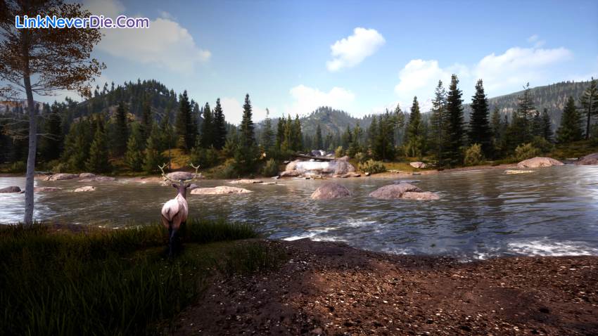 Hình ảnh trong game Hunting Simulator 2 (screenshot)