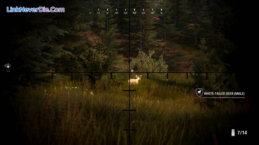 Hình ảnh trong game Hunting Simulator 2 (screenshot)