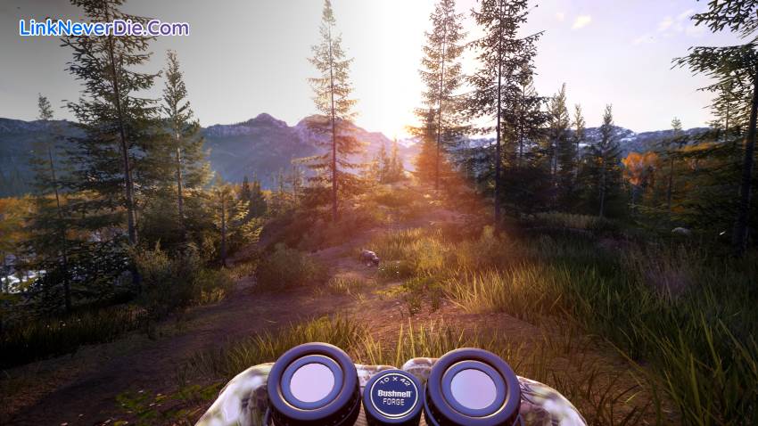 Hình ảnh trong game Hunting Simulator 2 (screenshot)