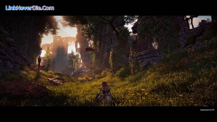 Hình ảnh trong game Horizon Zero Dawn (screenshot)