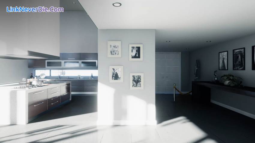 Hình ảnh trong game The Signifier (screenshot)