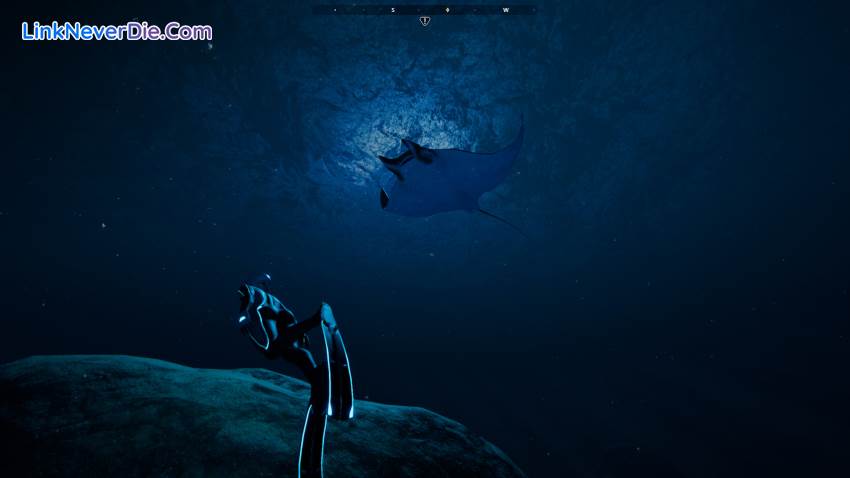 Hình ảnh trong game Beyond Blue (screenshot)