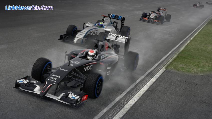 Hình ảnh trong game F1 2014 (screenshot)