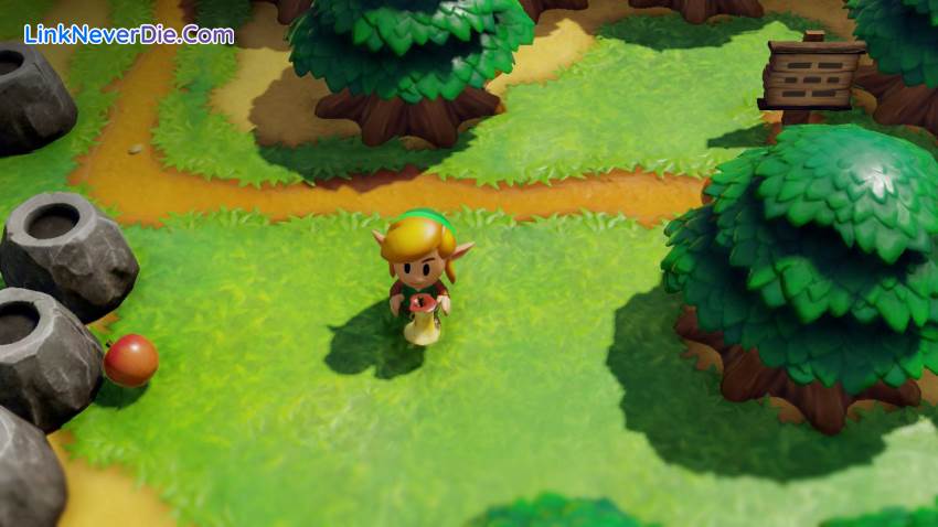 Hình ảnh trong game The Legend of Zelda: Link’s Awakening (screenshot)