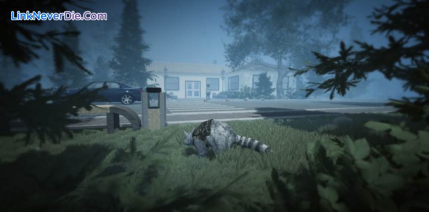 Hình ảnh trong game Wanted Raccoon (screenshot)