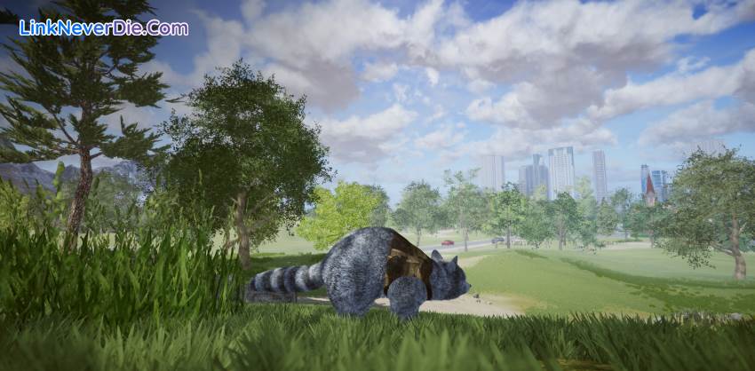 Hình ảnh trong game Wanted Raccoon (screenshot)