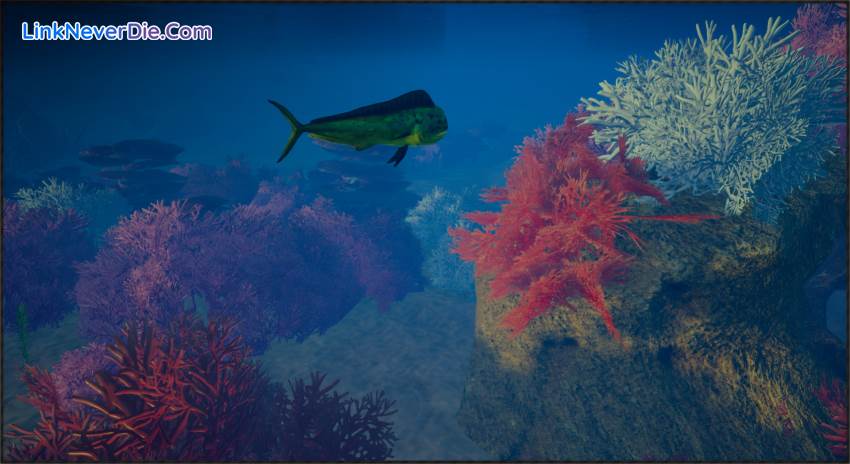 Hình ảnh trong game My Island (screenshot)