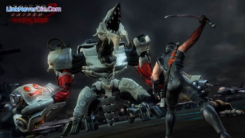 Hình ảnh trong game NINJA GAIDEN: Master Collection (screenshot)