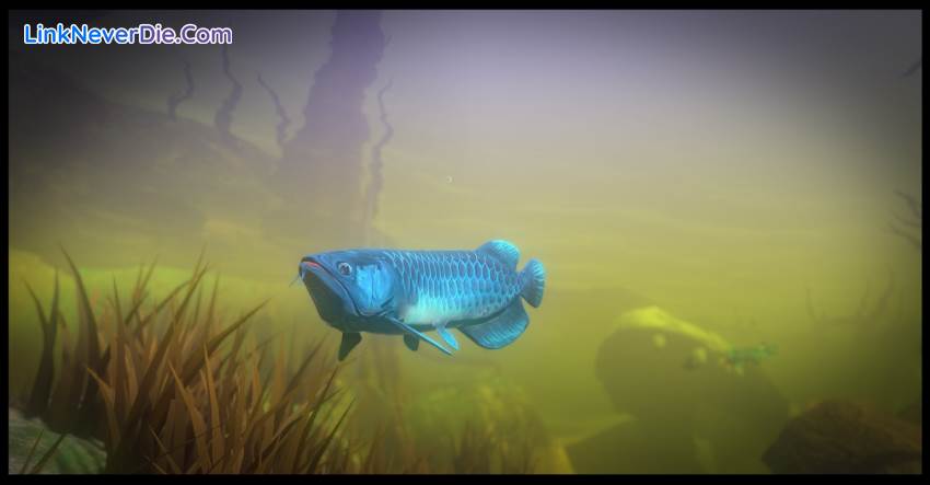 Hình ảnh trong game Feed and Grow: Fish (screenshot)