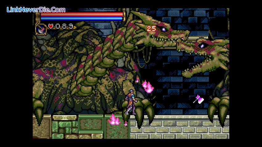 Hình ảnh trong game Castlevania Advance Collection (screenshot)