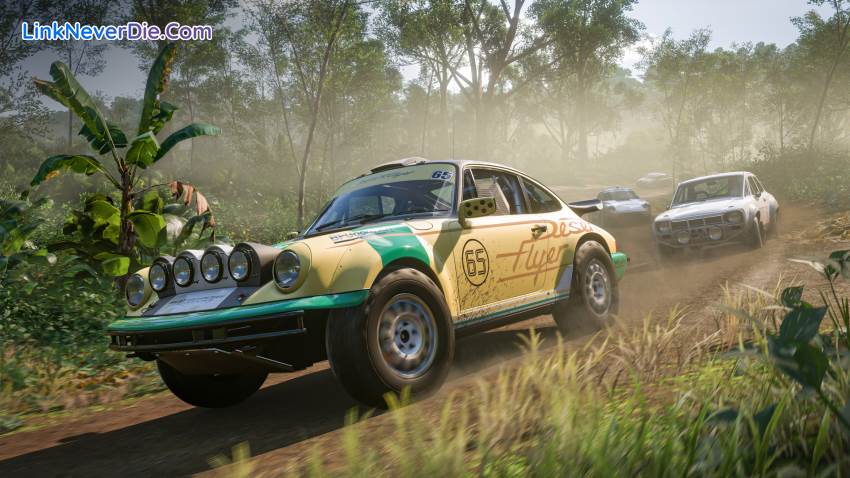 Hình ảnh trong game Forza Horizon 5 (screenshot)