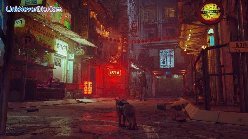 Hình ảnh trong game Stray (screenshot)