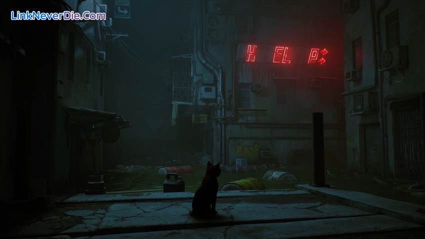 Hình ảnh trong game Stray (screenshot)