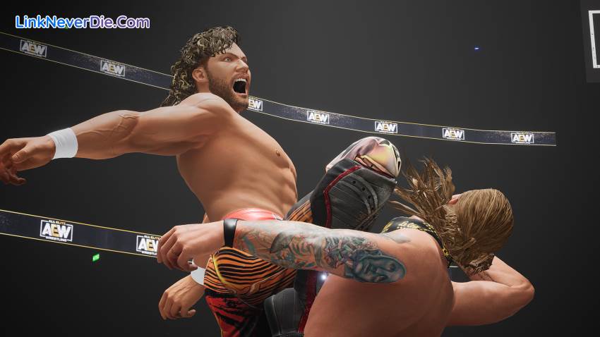 Hình ảnh trong game AEW: Fight Forever (screenshot)