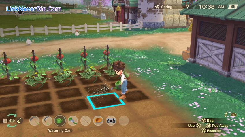 Hình ảnh trong game STORY OF SEASONS: A Wonderful Life (screenshot)