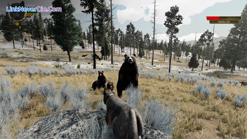 Hình ảnh trong game WolfQuest: Anniversary Edition (screenshot)