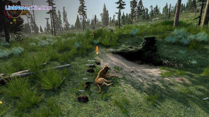 Hình ảnh trong game WolfQuest: Anniversary Edition (screenshot)