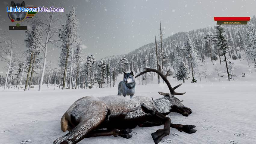 Hình ảnh trong game WolfQuest: Anniversary Edition (screenshot)