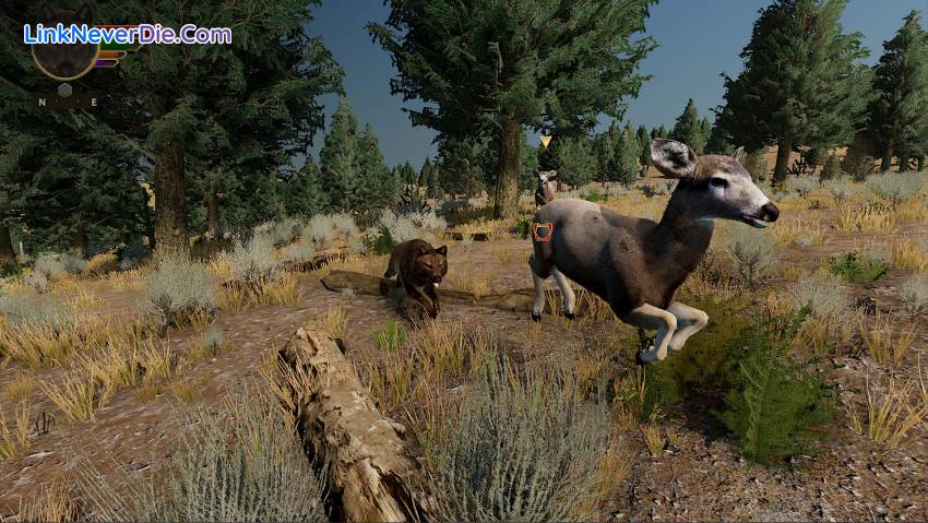 Hình ảnh trong game WolfQuest: Anniversary Edition (screenshot)