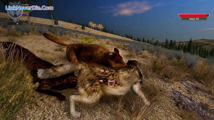 Hình ảnh trong game WolfQuest: Anniversary Edition (screenshot)