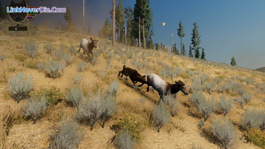 Hình ảnh trong game WolfQuest: Anniversary Edition (screenshot)