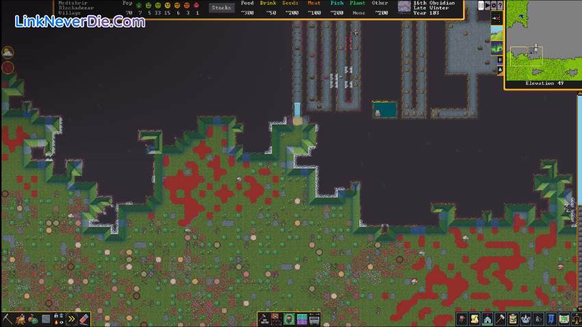 Hình ảnh trong game Dwarf Fortress (screenshot)