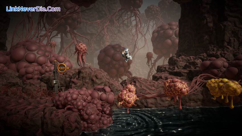 Hình ảnh trong game The Mobius Machine (screenshot)