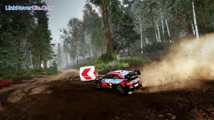 Hình ảnh trong game WRC 10 FIA World Rally Championship (screenshot)