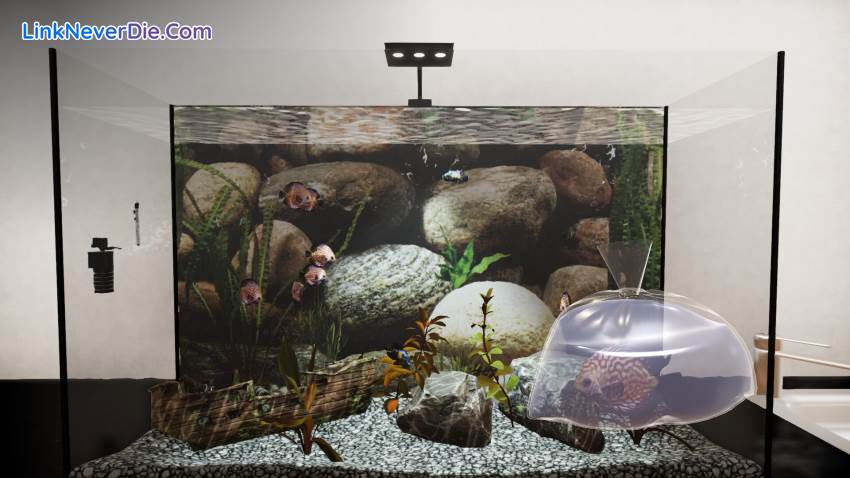 Hình ảnh trong game Aquatic Store Simulator (screenshot)