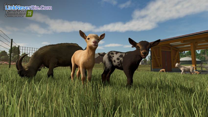 Hình ảnh trong game Farming Simulator 25 (screenshot)