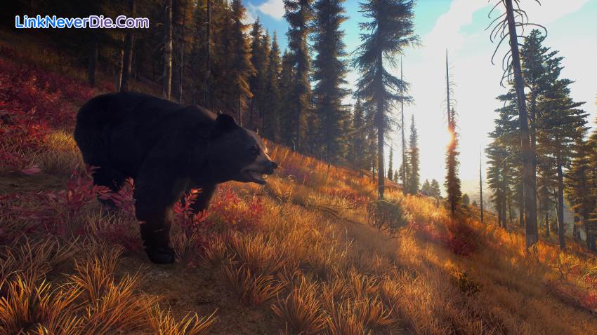 Hình ảnh trong game Way of the Hunter (screenshot)