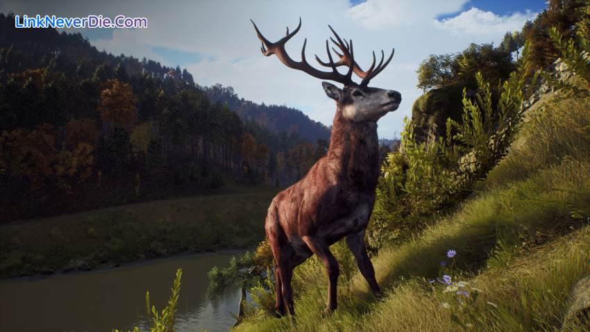 Hình ảnh trong game Way of the Hunter (screenshot)