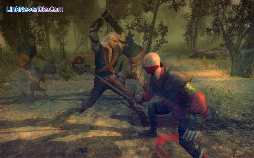 Hình ảnh trong game The Witcher: Enhanced Edition (screenshot)