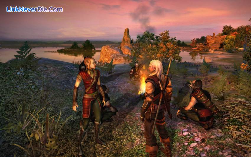 Hình ảnh trong game The Witcher: Enhanced Edition (screenshot)