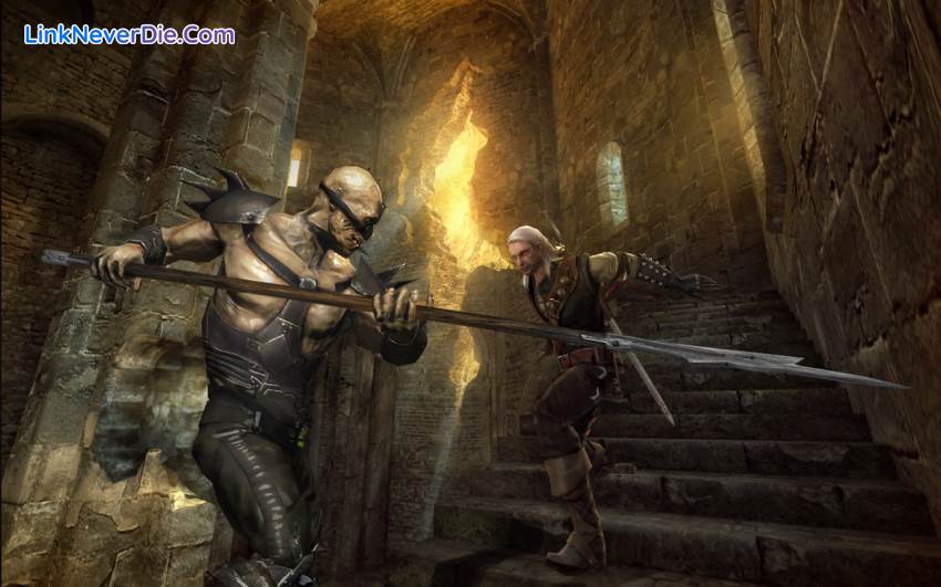 Hình ảnh trong game The Witcher: Enhanced Edition (screenshot)