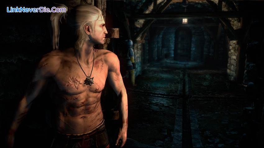 Hình ảnh trong game The Witcher 2: Assassins of Kings Enhanced Editon (screenshot)