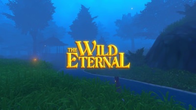 The Wild Eternal