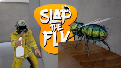 Slap The Fly