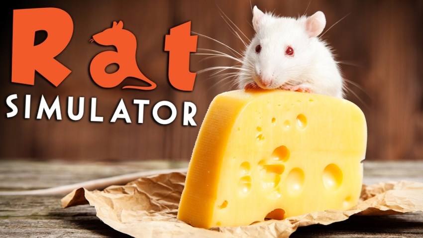 Rat Simulator cover