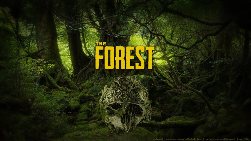 The Forest cover