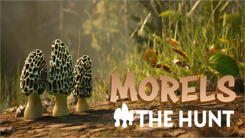 Morels: The Hunt cover